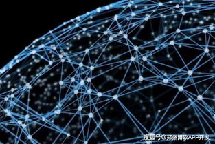 鄭州區(qū)塊鏈技術(shù)驅(qū)動下的數(shù)字貨幣錢包開發(fā)與網(wǎng)絡(luò)技術(shù)創(chuàng)新